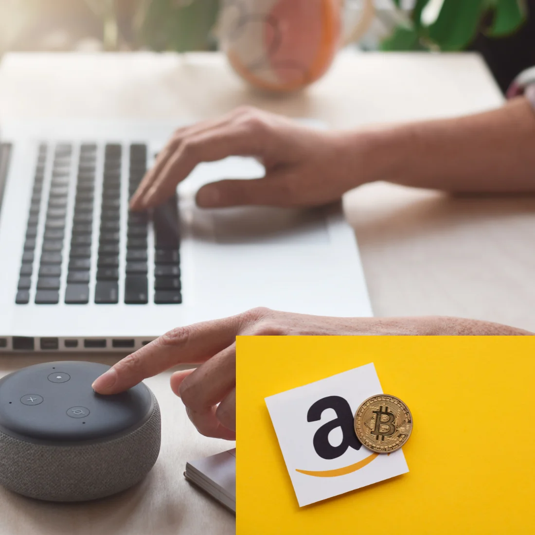 Amazon Market Place Account Management